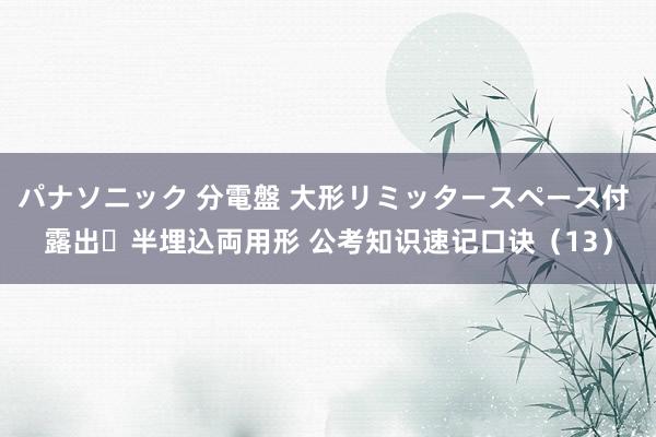 パナソニック 分電盤 大形リミッタースペース付 露出・半埋込両用形 公考知识速记口诀（13）