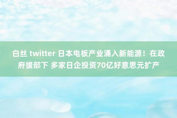 白丝 twitter 日本电板产业涌入新能源！在政府援部下 多家日企投资70亿好意思元扩产