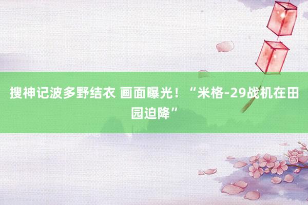 搜神记波多野结衣 画面曝光！“米格-29战机在田园迫降”