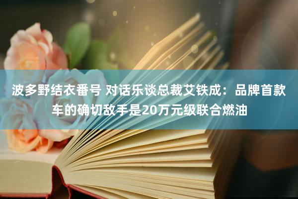 波多野结衣番号 对话乐谈总裁艾铁成：品牌首款车的确切敌手是20万元级联合燃油