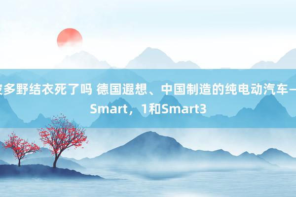 波多野结衣死了吗 德国遐想、中国制造的纯电动汽车——Smart，1和Smart3