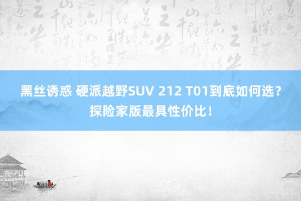 黑丝诱惑 硬派越野SUV 212 T01到底如何选？探险家版最具性价比！