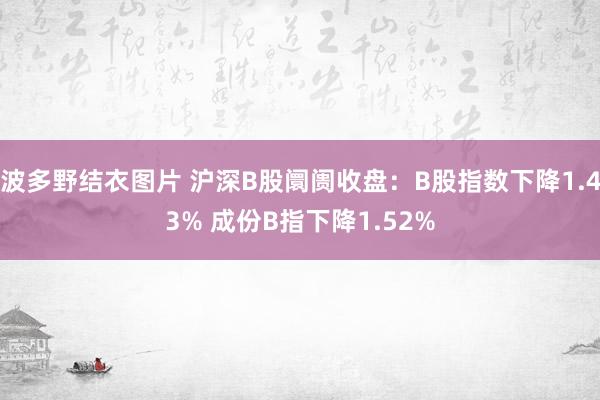 波多野结衣图片 沪深B股阛阓收盘：B股指数下降1.43% 成份B指下降1.52%