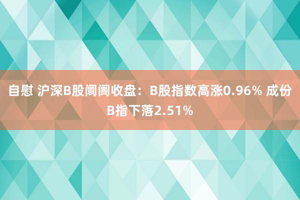 自慰 沪深B股阛阓收盘：B股指数高涨0.96% 成份B指下落2.51%