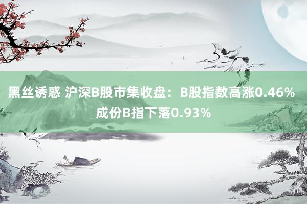 黑丝诱惑 沪深B股市集收盘：B股指数高涨0.46% 成份B指下落0.93%