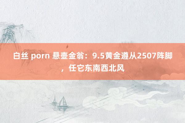 白丝 porn 悬壶金翁：9.5黄金遵从2507阵脚，任它东南西北风