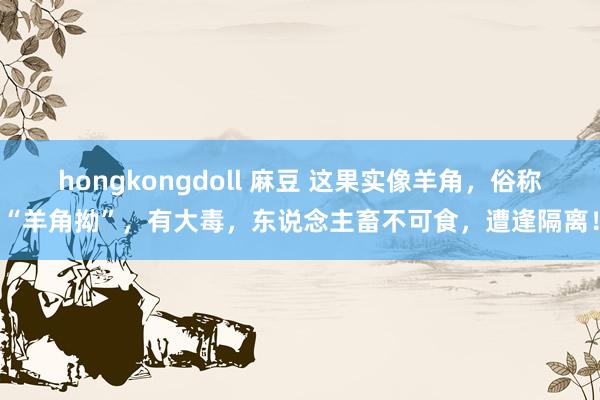 hongkongdoll 麻豆 这果实像羊角，俗称“羊角拗”，有大毒，东说念主畜不可食，遭逢隔离！