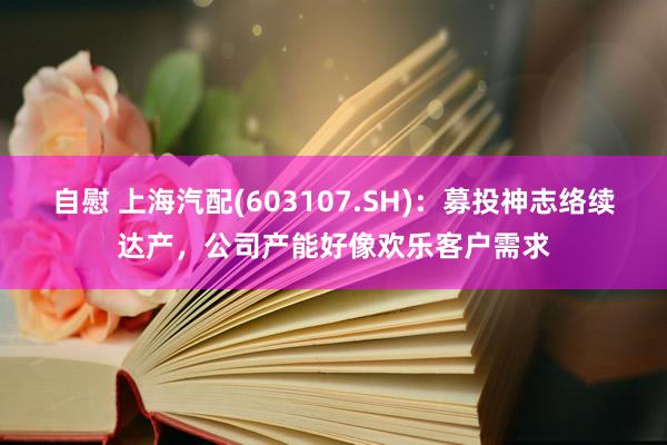 自慰 上海汽配(603107.SH)：募投神志络续达产，公司产能好像欢乐客户需求