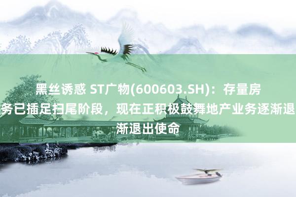 黑丝诱惑 ST广物(600603.SH)：存量房地产业务已插足扫尾阶段，现在正积极鼓舞地产业务逐渐退出使命