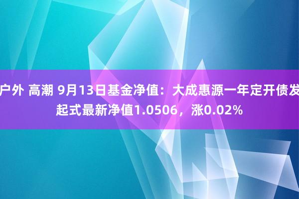 户外 高潮 9月13日基金净值：大成惠源一年定开债发起式最新净值1.0506，涨0.02%