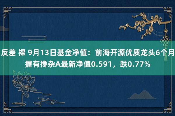 反差 裸 9月13日基金净值：前海开源优质龙头6个月握有搀杂A最新净值0.591，跌0.77%