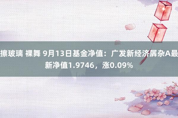 擦玻璃 裸舞 9月13日基金净值：广发新经济羼杂A最新净值1.9746，涨0.09%