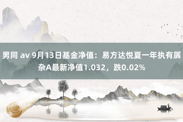 男同 av 9月13日基金净值：易方达悦夏一年执有羼杂A最新净值1.032，跌0.02%