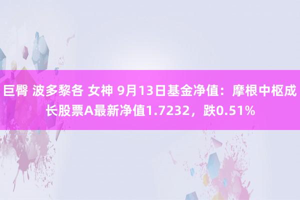 巨臀 波多黎各 女神 9月13日基金净值：摩根中枢成长股票A最新净值1.7232，跌0.51%