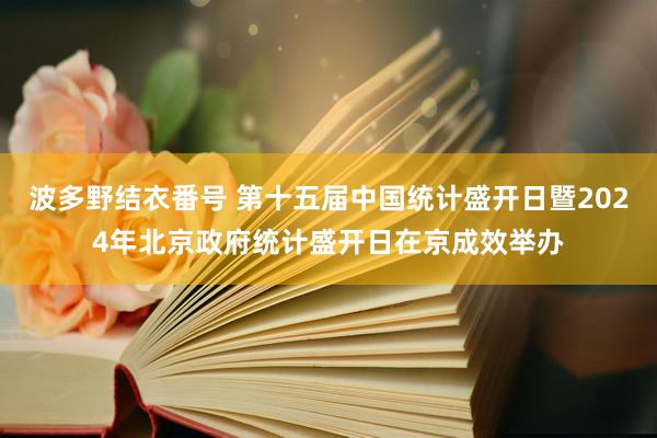 波多野结衣番号 第十五届中国统计盛开日暨2024年北京政府统计盛开日在京成效举办