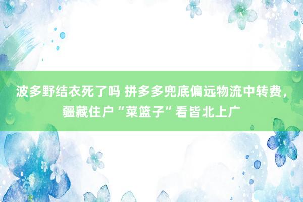 波多野结衣死了吗 拼多多兜底偏远物流中转费，疆藏住户“菜篮子”看皆北上广