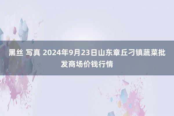 黑丝 写真 2024年9月23日山东章丘刁镇蔬菜批发商场价钱行情