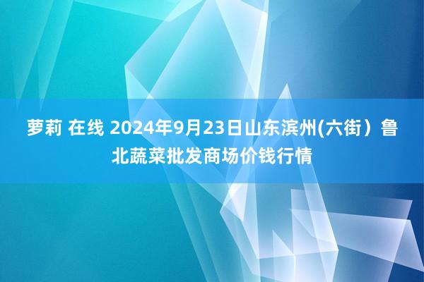 萝莉 在线 2024年9月23日山东滨州(六街）鲁北蔬菜批发商场价钱行情