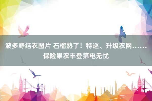 波多野结衣图片 石榴熟了！特巡、升级农网……保险果农丰登第电无忧