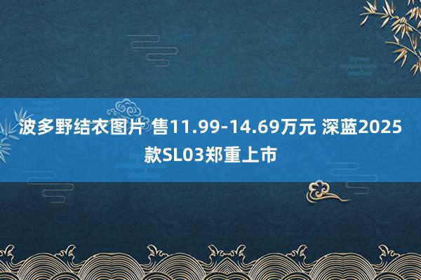 波多野结衣图片 售11.99-14.69万元 深蓝2025款SL03郑重上市