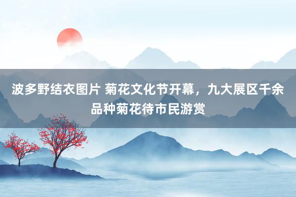 波多野结衣图片 菊花文化节开幕，九大展区千余品种菊花待市民游赏