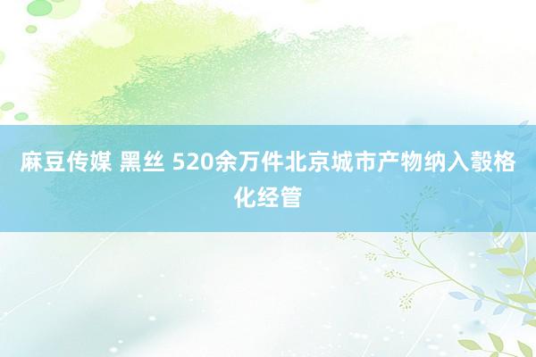 麻豆传媒 黑丝 520余万件北京城市产物纳入彀格化经管