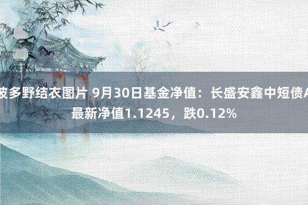 波多野结衣图片 9月30日基金净值：长盛安鑫中短债A最新净值1.1245，跌0.12%