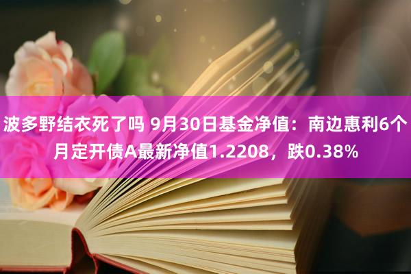 波多野结衣死了吗 9月30日基金净值：南边惠利6个月定开债A最新净值1.2208，跌0.38%