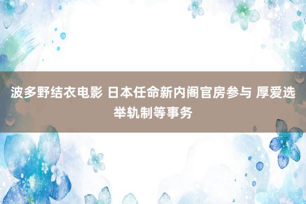 波多野结衣电影 日本任命新内阁官房参与 厚爱选举轨制等事务