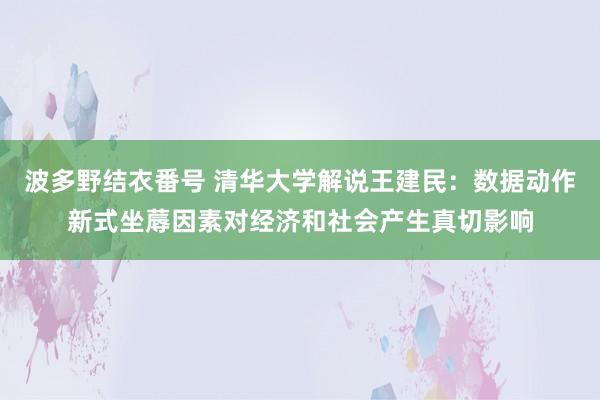 波多野结衣番号 清华大学解说王建民：数据动作新式坐蓐因素对经济和社会产生真切影响