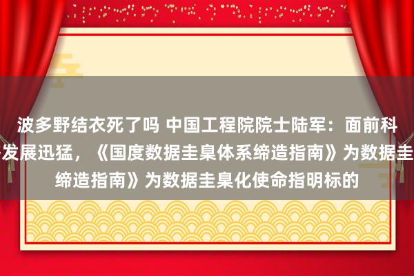 波多野结衣死了吗 中国工程院院士陆军：面前科技改革与数字经济发展迅猛，《国度数据圭臬体系缔造指南》为数据圭臬化使命指明标的