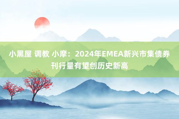 小黑屋 调教 小摩：2024年EMEA新兴市集债券刊行量有望创历史新高