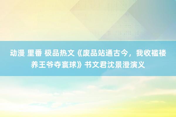 动漫 里番 极品热文《废品站通古今，我收褴褛养王爷夺寰球》书文君沈景澄演义