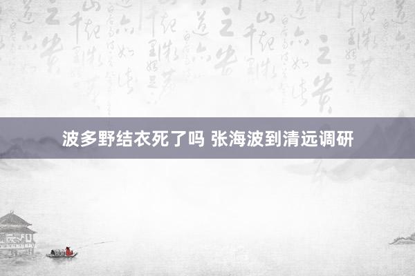 波多野结衣死了吗 张海波到清远调研