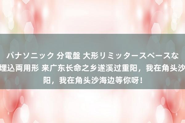 パナソニック 分電盤 大形リミッタースペースなし 露出・半埋込両用形 来广东长命之乡遂溪过重阳，我在角头沙海边等你呀！