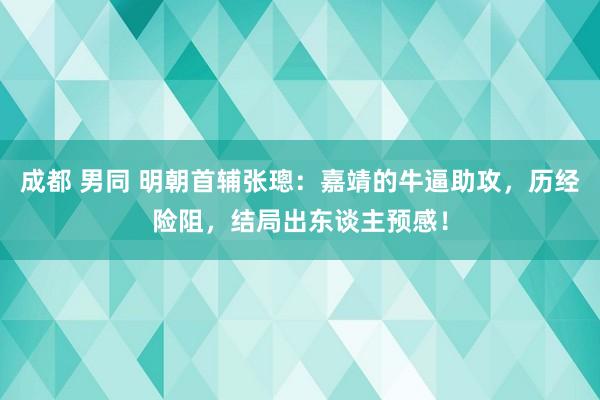 成都 男同 明朝首辅张璁：嘉靖的牛逼助攻，历经险阻，结局出东谈主预感！