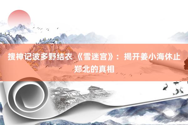 搜神记波多野结衣 《雪迷宫》：揭开姜小海休止郑北的真相