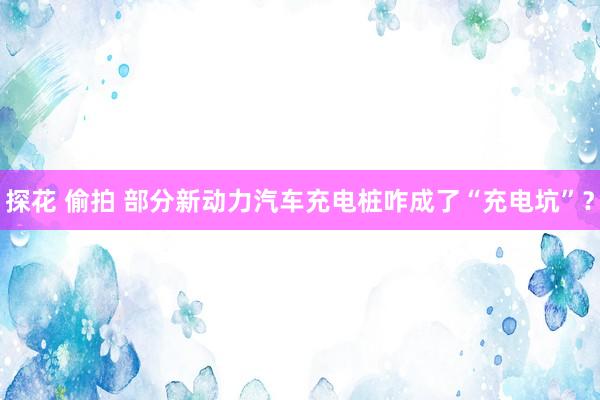 探花 偷拍 部分新动力汽车充电桩咋成了“充电坑”？