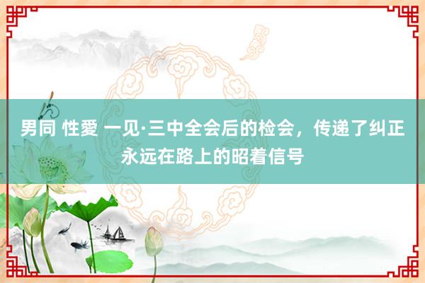 男同 性愛 一见·三中全会后的检会，传递了纠正永远在路上的昭着信号