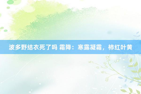 波多野结衣死了吗 霜降：寒露凝霜，柿红叶黄