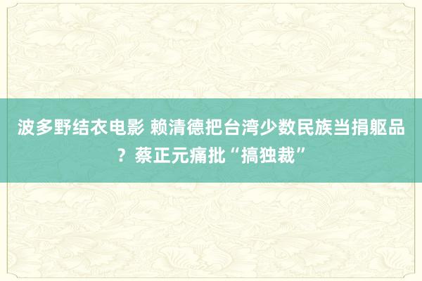 波多野结衣电影 赖清德把台湾少数民族当捐躯品？蔡正元痛批“搞独裁”