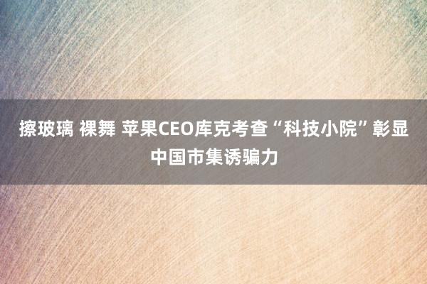 擦玻璃 裸舞 苹果CEO库克考查“科技小院”彰显中国市集诱骗力