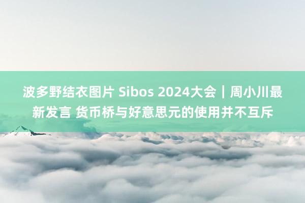 波多野结衣图片 Sibos 2024大会｜周小川最新发言 货币桥与好意思元的使用并不互斥