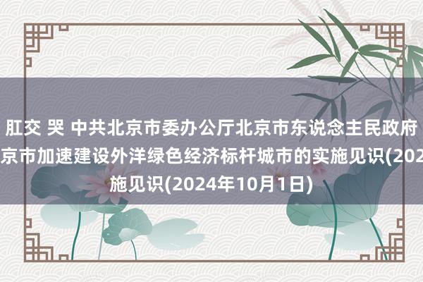 肛交 哭 中共北京市委办公厅北京市东说念主民政府办公厅对于北京市加速建设外洋绿色经济标杆城市的实施见识(2024年10月1日)