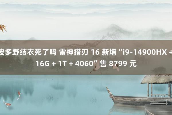 波多野结衣死了吗 雷神猎刃 16 新增“i9-14900HX + 16G + 1T + 4060”售 8799 元