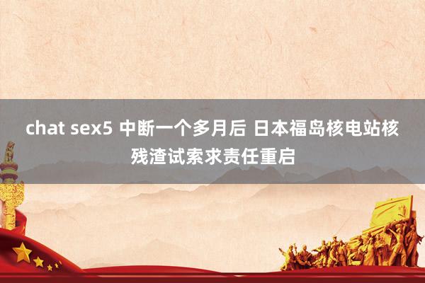 chat sex5 中断一个多月后 日本福岛核电站核残渣试索求责任重启