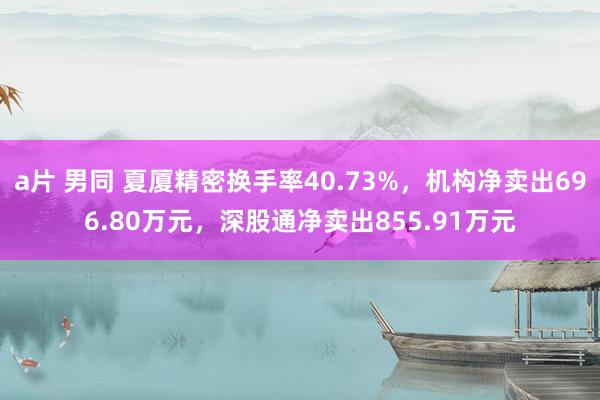 a片 男同 夏厦精密换手率40.73%，机构净卖出696.80万元，深股通净卖出855.91万元