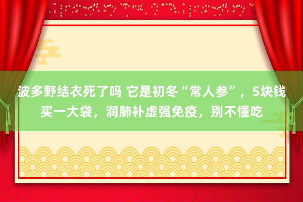 波多野结衣死了吗 它是初冬“常人参”，5块钱买一大袋，润肺补虚强免疫，别不懂吃