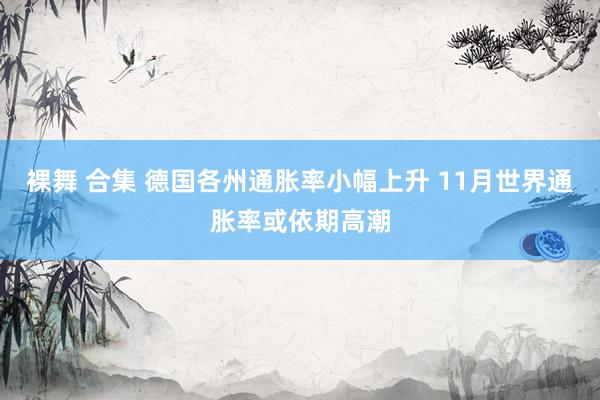 裸舞 合集 德国各州通胀率小幅上升 11月世界通胀率或依期高潮