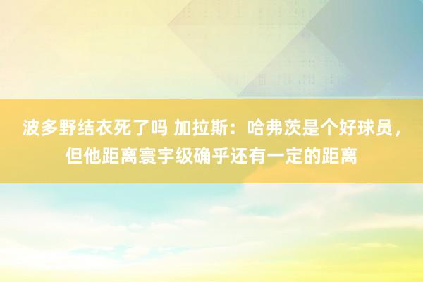 波多野结衣死了吗 加拉斯：哈弗茨是个好球员，但他距离寰宇级确乎还有一定的距离